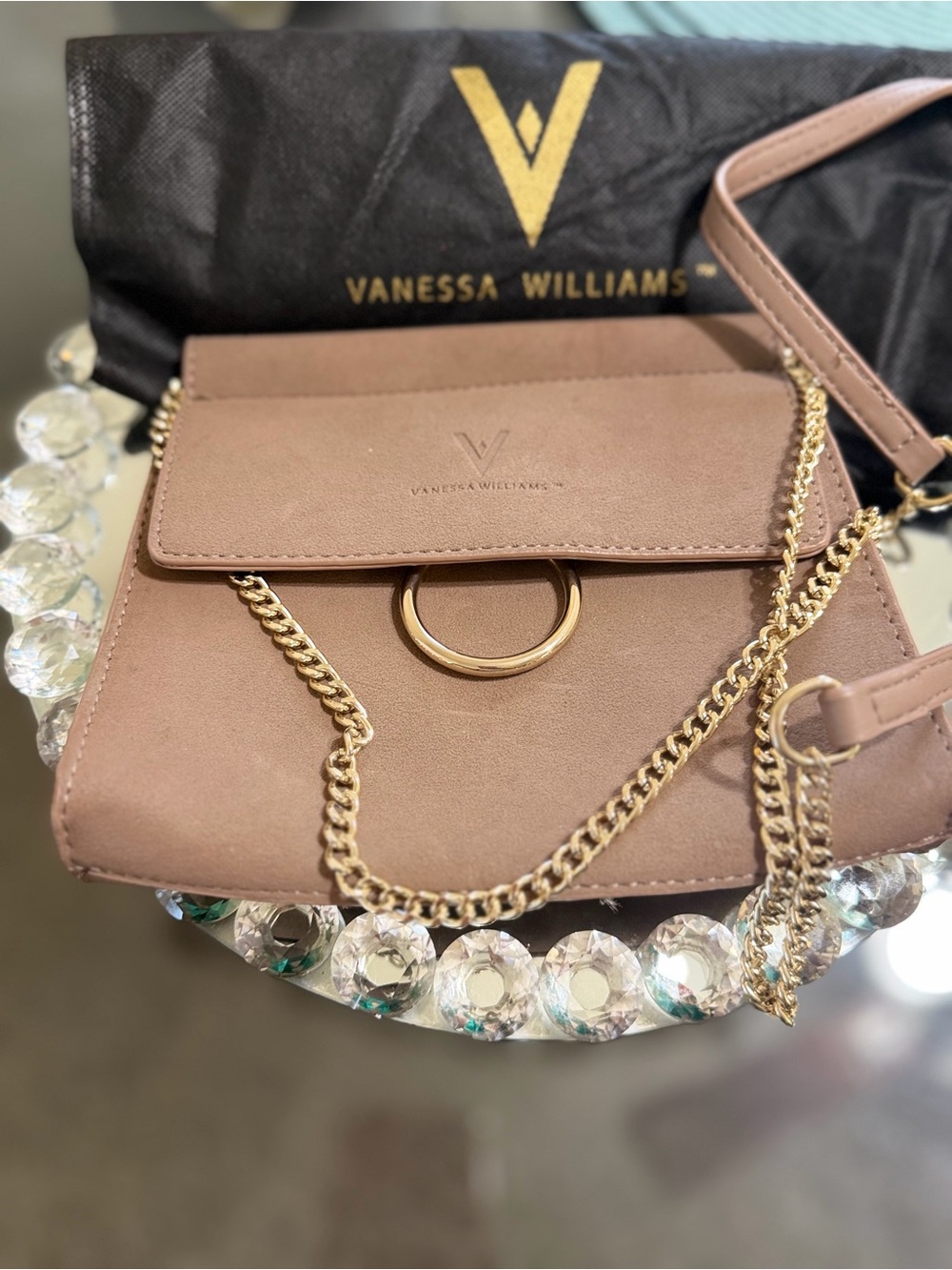 Vanessa Williams bag